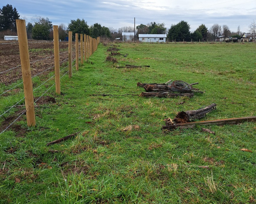 Plot in Sector Quepe Commune of Freire, Temuco.