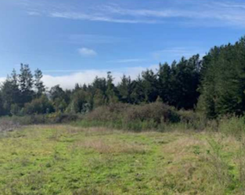 Plot In Pelluhue, Sector Quilicura Region Del Maule