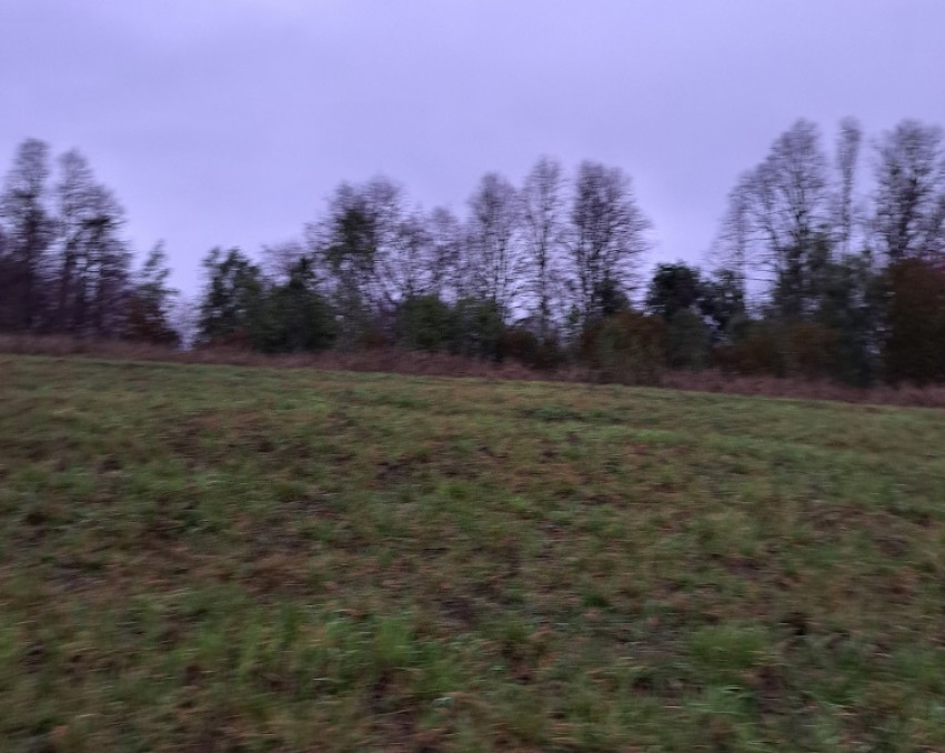 Parcela Huicapi Loncoche