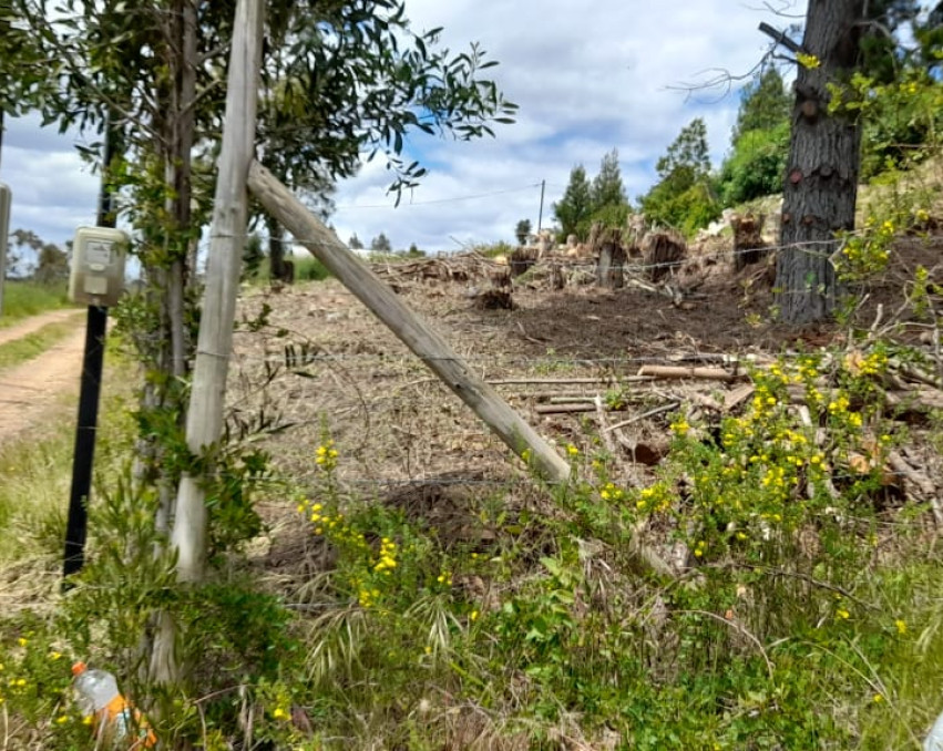 Plot Take Fundo El Eden